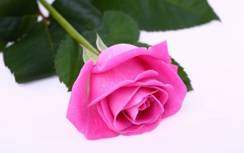 d3fe932fac4e1f46e1ee5755f359f885.jpg