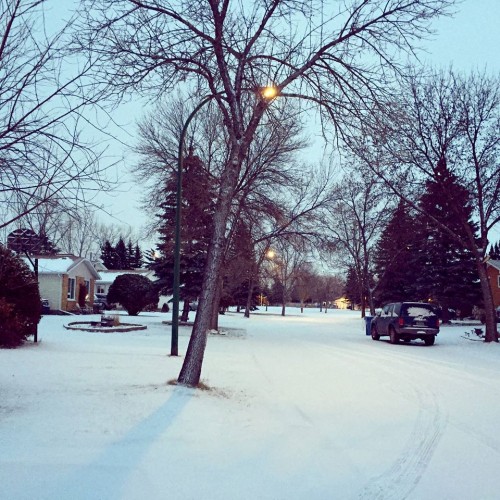 Snowfall at Winnipeg , Canada