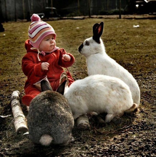 Baby with Rabbits