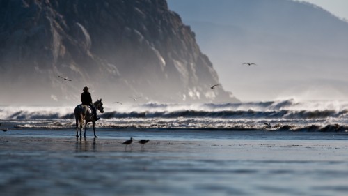 Alone rider on the beach