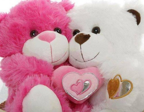 Pink and White Teddy Bear