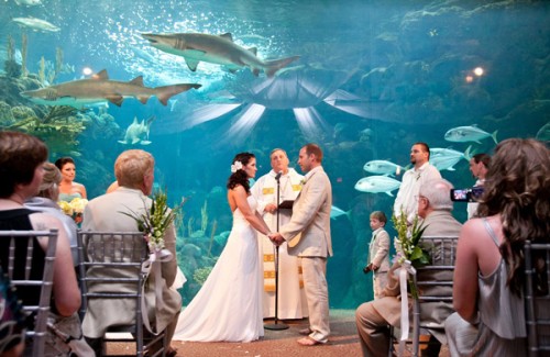 Wedding at Aquarium