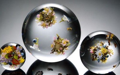 Inside Balls Of Glass