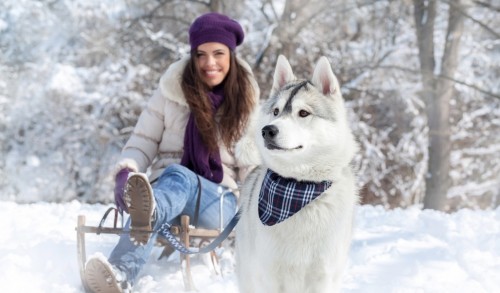 Girl enjoying snow with her dog
